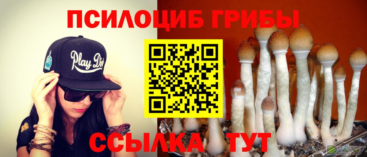 Псилоцибиновые грибы GOLDEN TEACHER  Вход с VPN  Дивногорск 